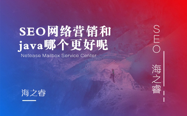 SEO網(wǎng)絡營銷和java哪個更好呢